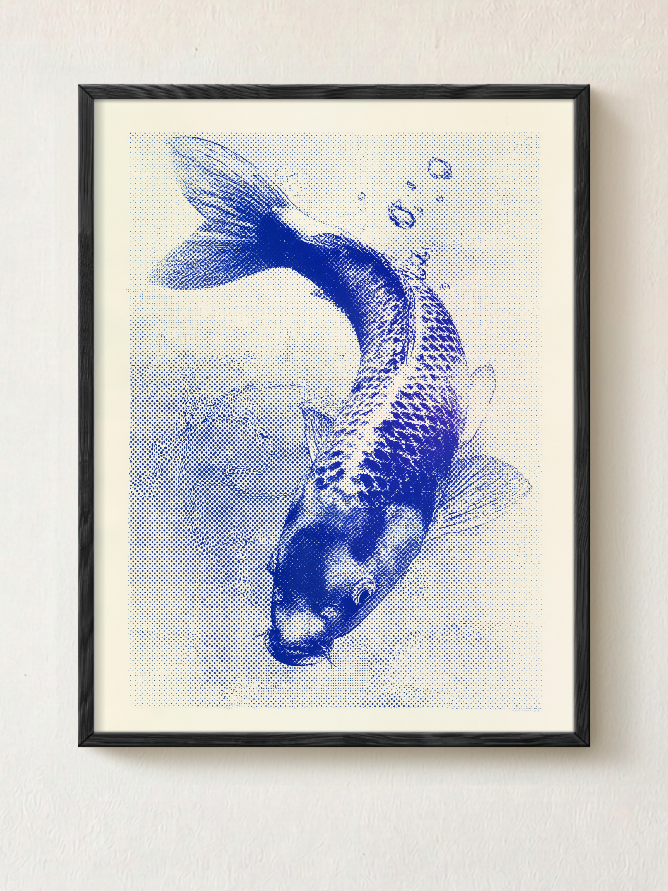 Koi