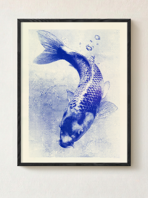 Koi