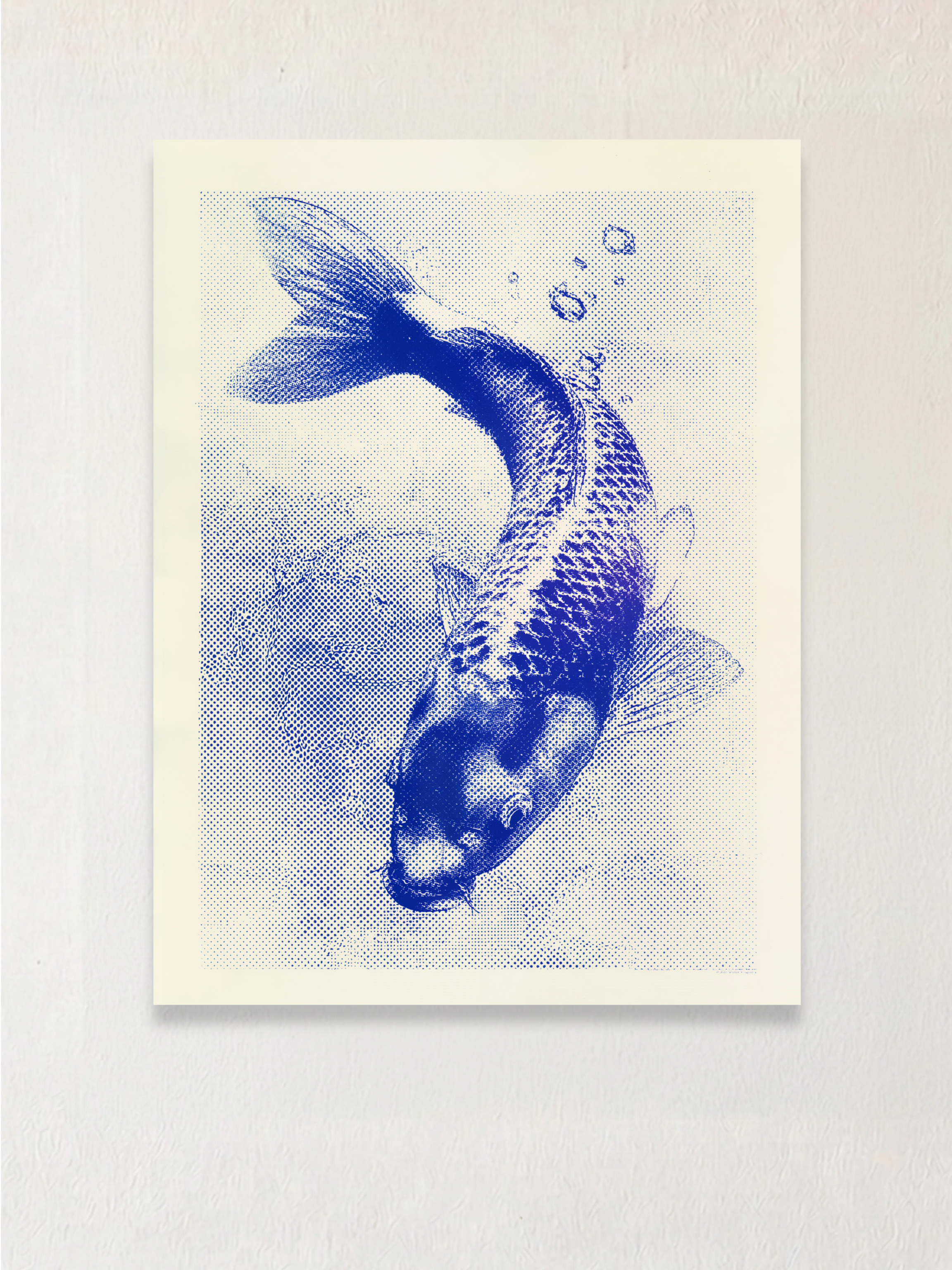 Koi