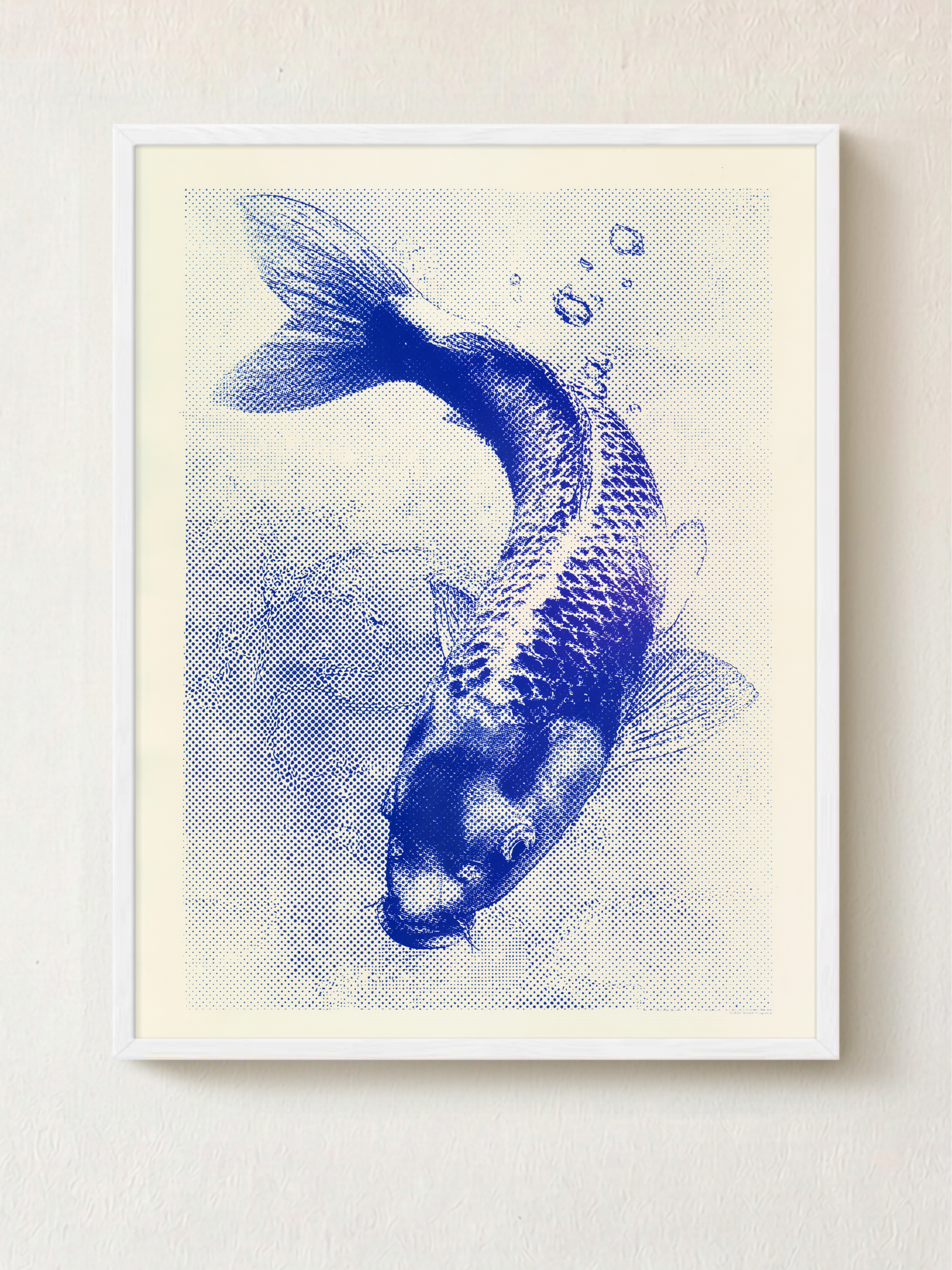 Koi