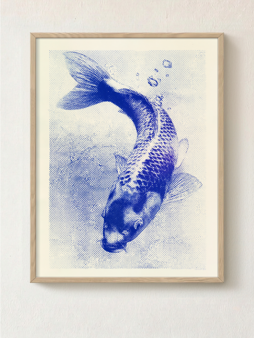 Koi
