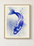 Koi